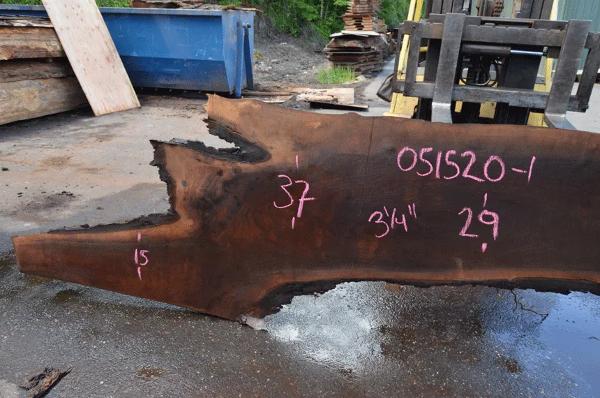 Oregon Black Walnut Slab 051520-01