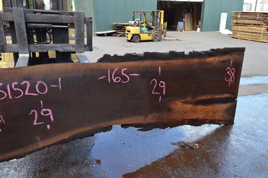 Oregon Black Walnut Slab 051520-01