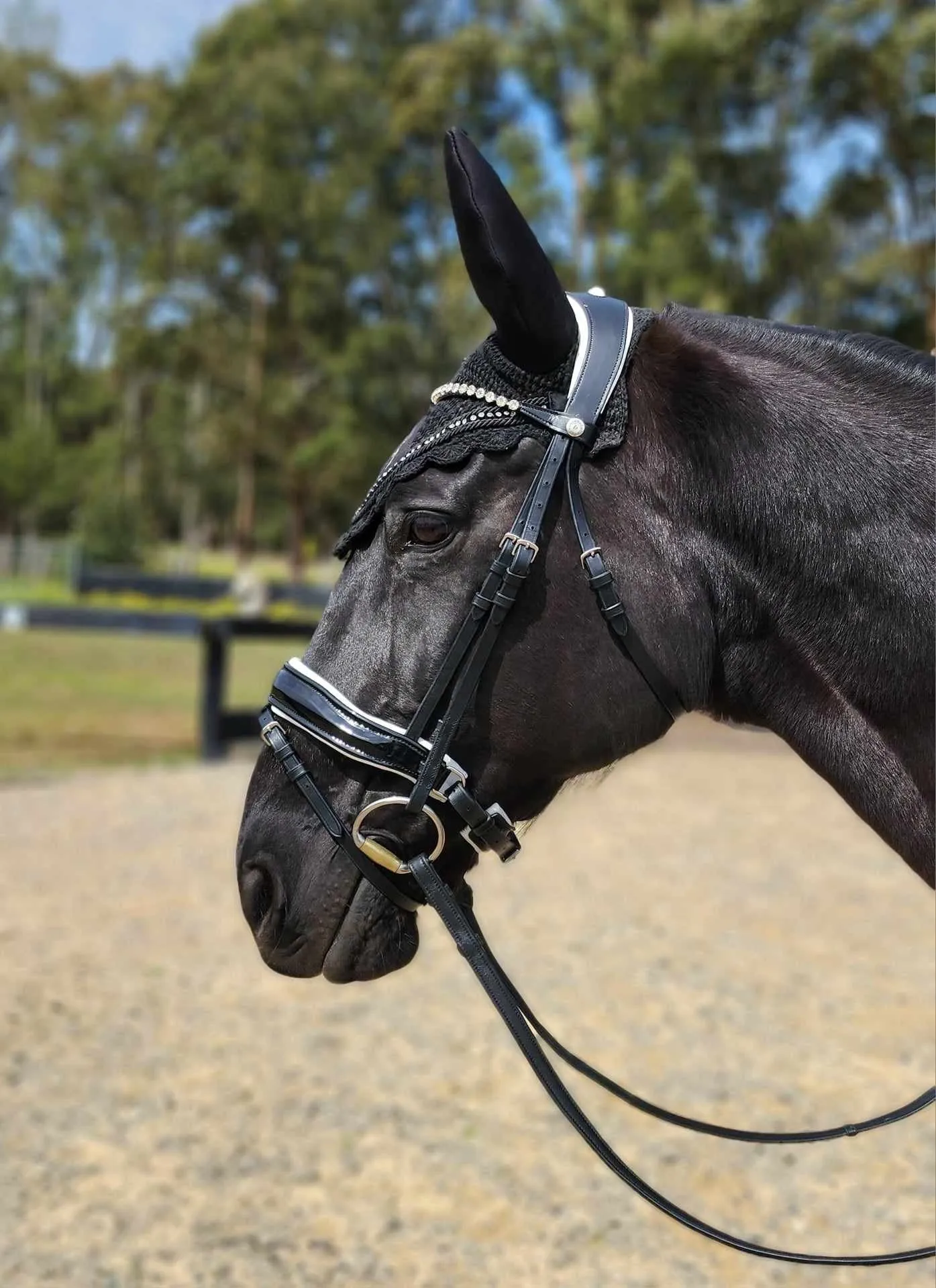 Soft Shell Equestrian Jacket